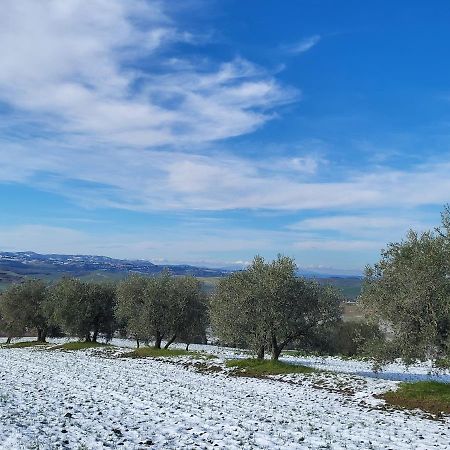 Dimora In Francigena Hotel San Quirico d'Orcia Bagian luar foto