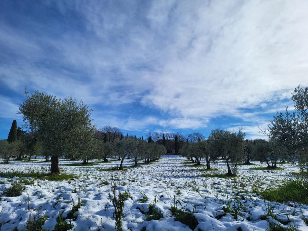Dimora In Francigena Hotel San Quirico d'Orcia Bagian luar foto